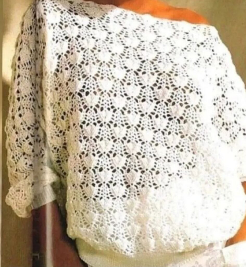 Alternating Large Fan Crochet Chart