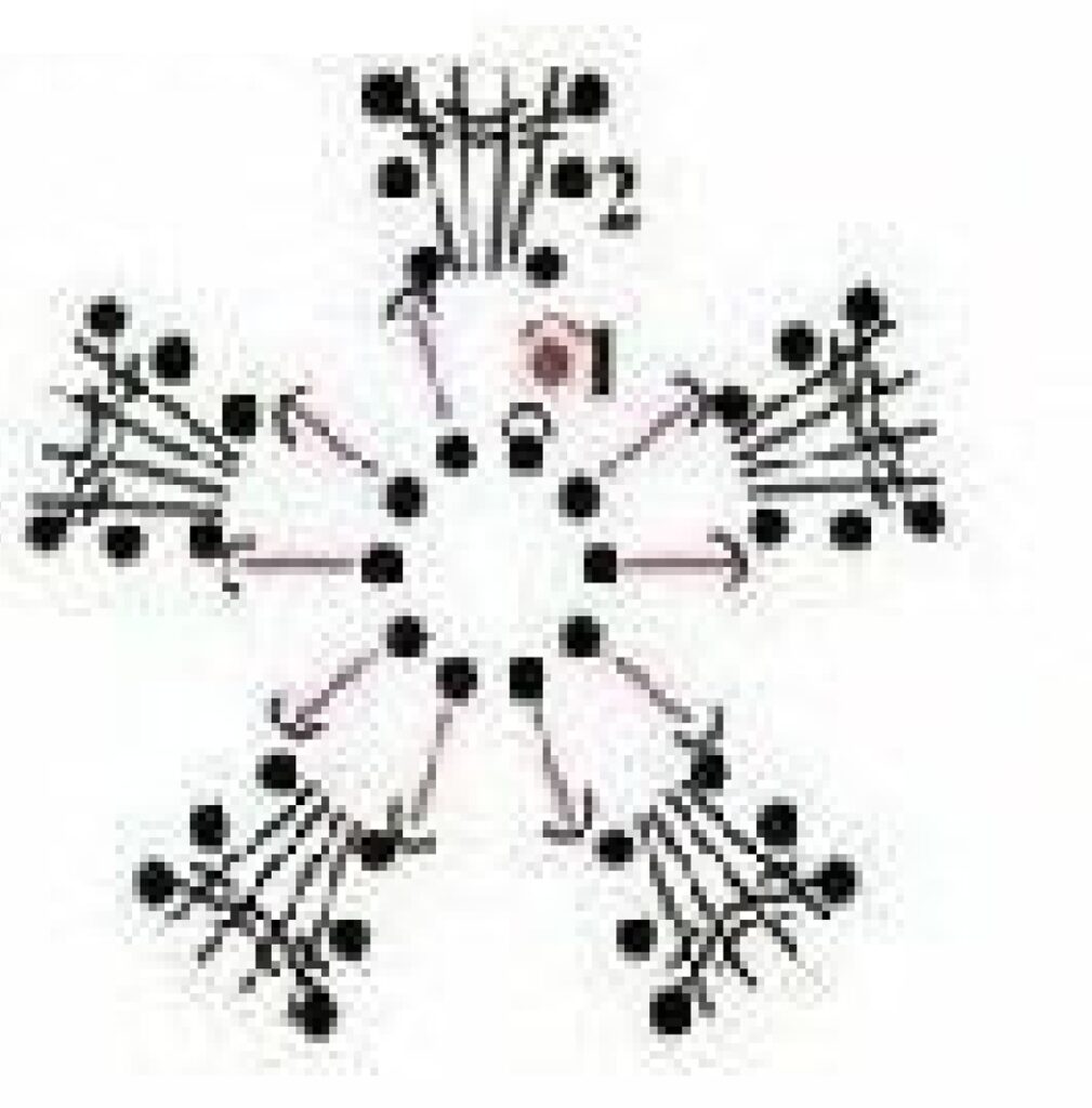 Five-Point Picot Flower Crochet Motif Chart — English PDF